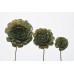 SOLA ROSE COLORS 6" (16" stem) Sage Green - CLOSE OUT !!!